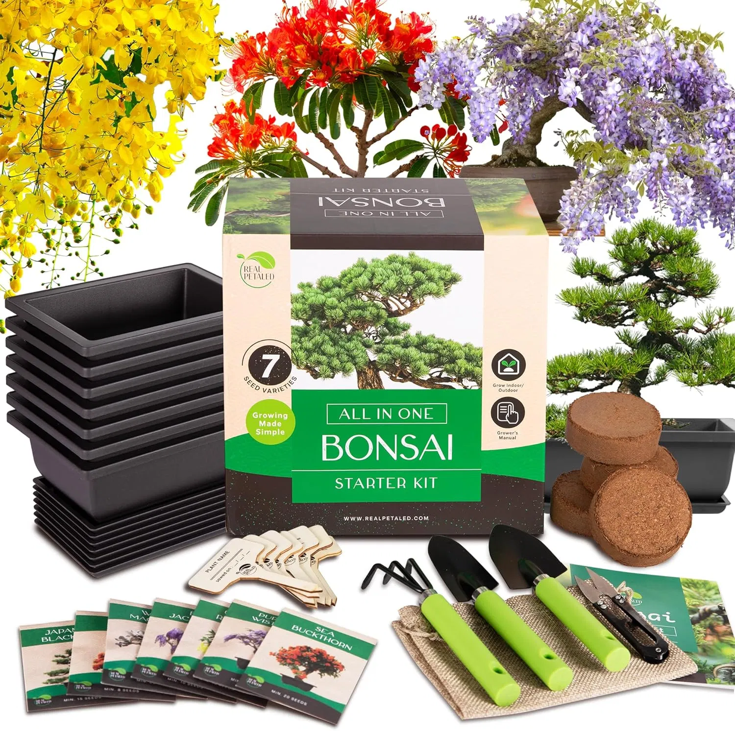 Bonsai Tree Starter Kit: Complete Bonsai Plant Growing Kit with 7 Types of Bonsai Tree Seeds Tools Soil Pots Trays - Japanese Grow Kit for Women and Men