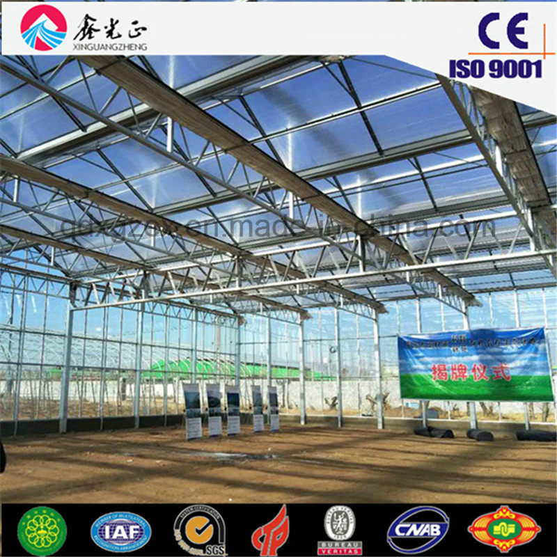 Heavy-Duty Steel Truss System for Stadiums and Arenas