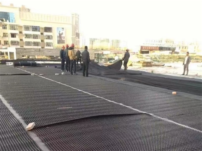 HDPE Drainage Board: Traditional Dimple Design for Maximum Waterproofing