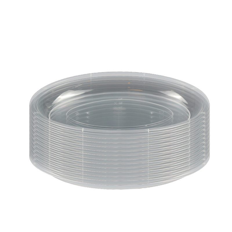 Transparent Ellipse Plate Disposable Plastic Tableware 273mm Length PP Plastic Plate Custom for Dinner