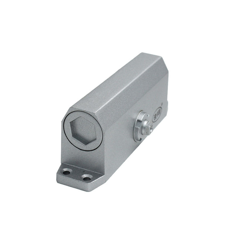 Factory Direct Selling Door Hardware Accessories Aluminium Door Spring Closer