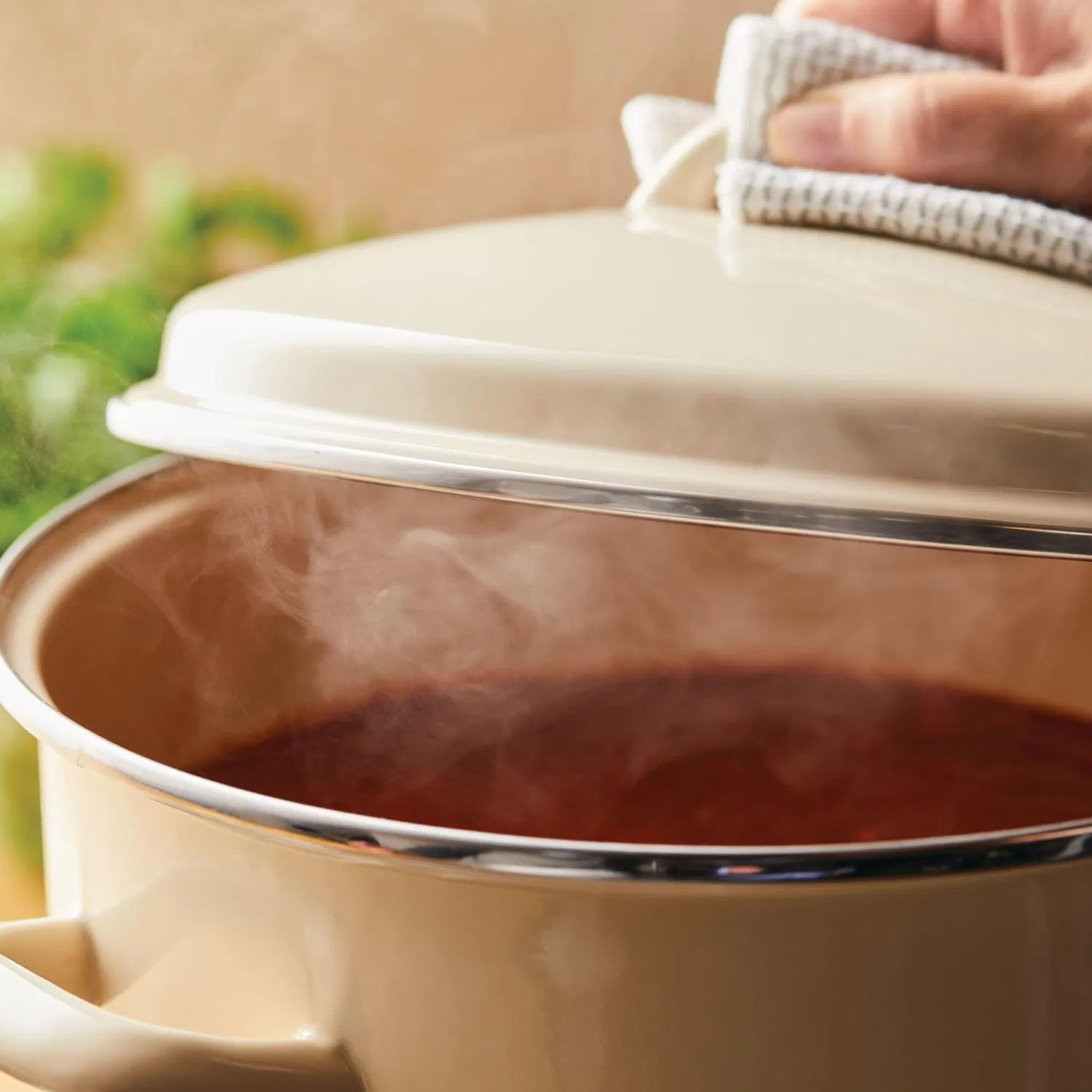 Enamel on Steel Stockpot with Lid, Induction Suitable, 12 Quart, Almond Cream