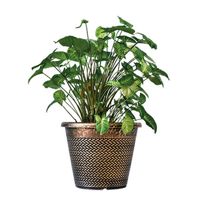 Garden Planter Plastic Flower Pot (KD2051-KD2053)