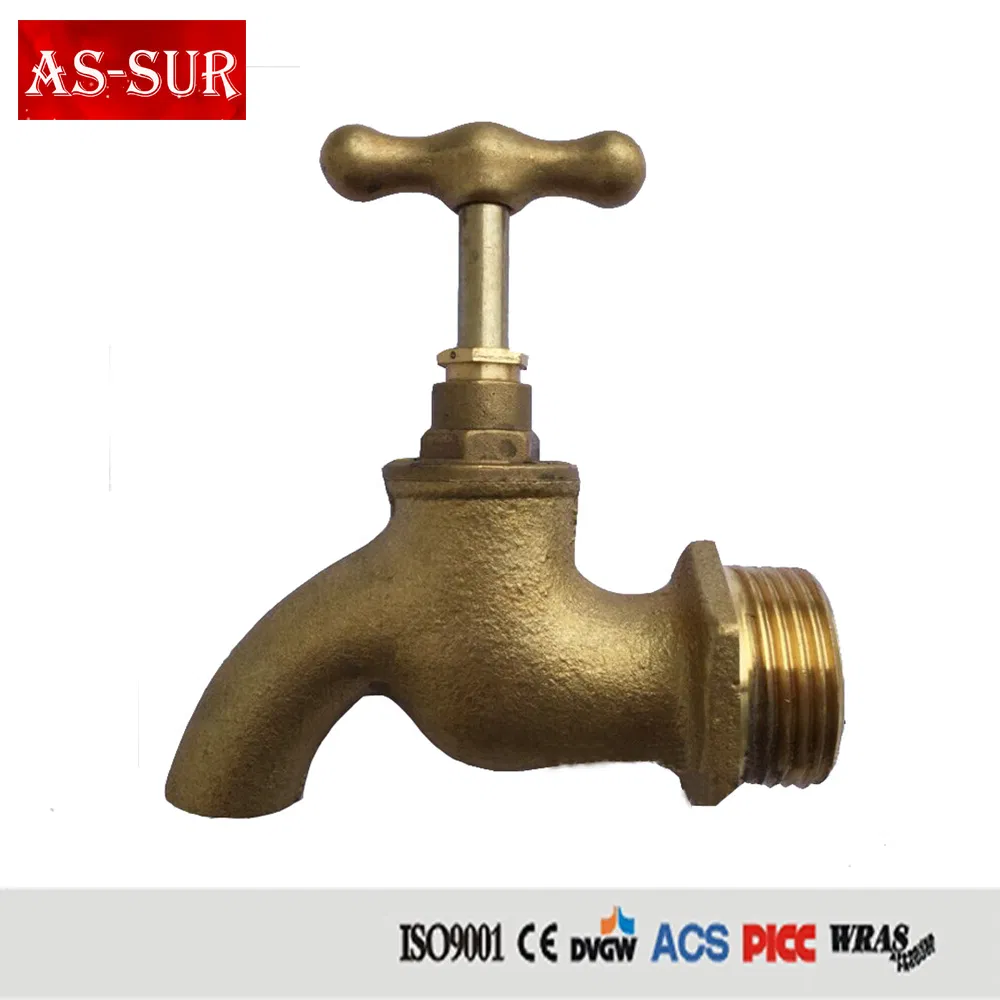 High Quality 1/2 Inch Brass Bibcock Hose Cock with Hose Nipple Bb2001