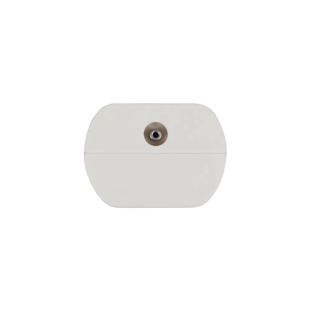 12V Water Ozonator for SPA & Laundry Washer