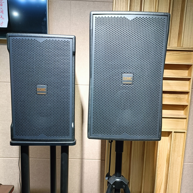Domc K210 10-Inch Speaker: Superior Sound for Studios
