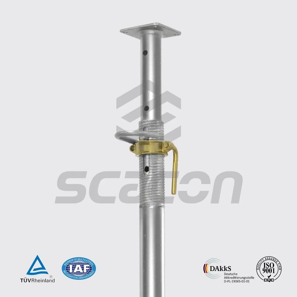 Lateral Force Resistant Corrosion Resistance Scaffolding Cast Steel Support Props Nut