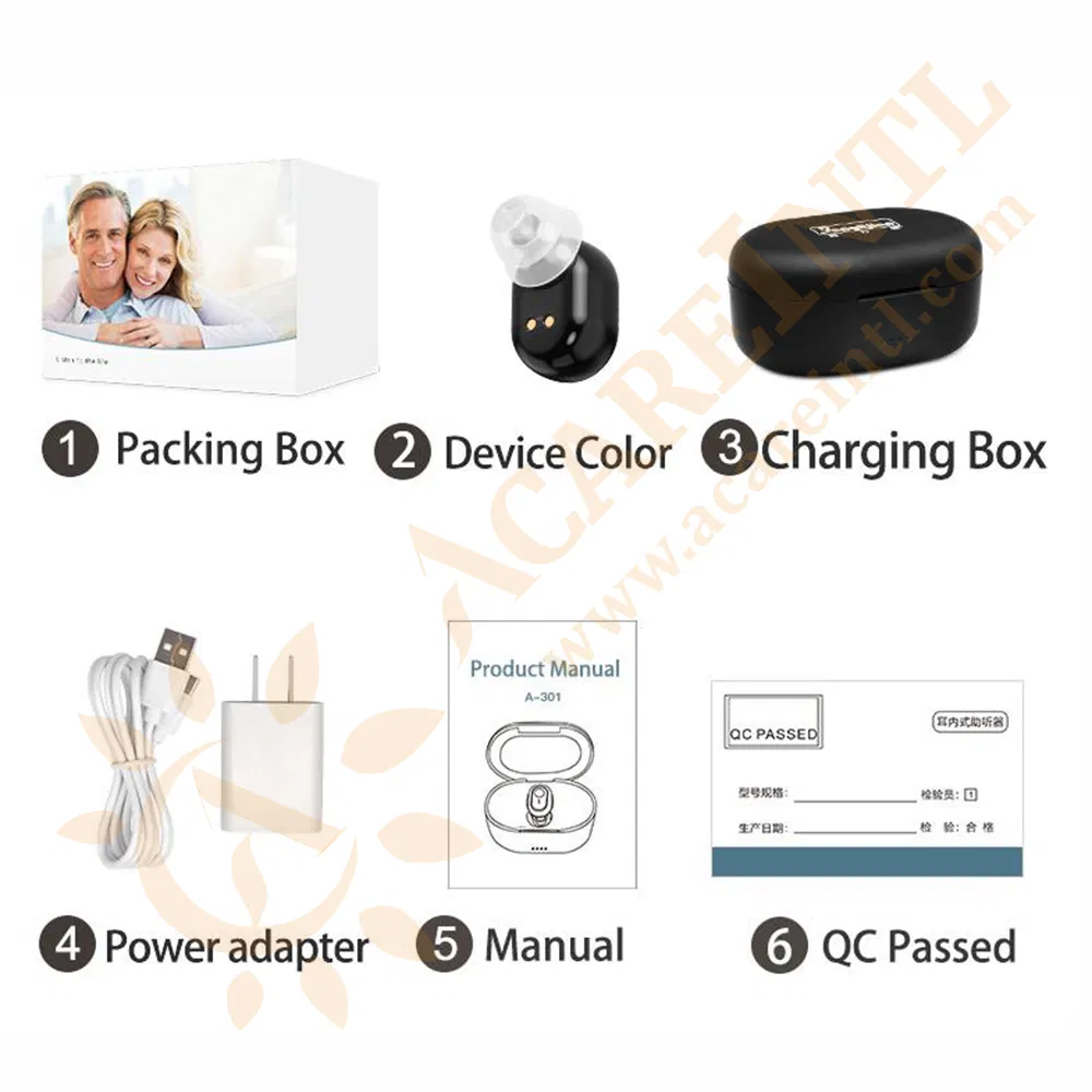 Rechargeable Invisible Cic Digital Hearing Aids with Magnetic Charging Case