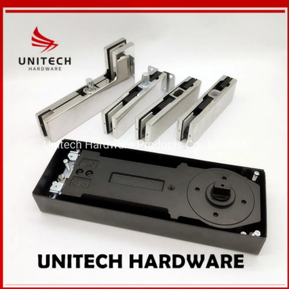 Stainless Steel 304 Double Cylinder Hydraulic Floor Spring Glass Door Closer Hinge