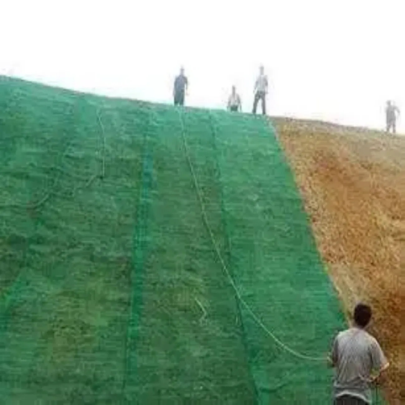 Tianen High-Quality 3D Geomat, Grass and Plastic Mats for Outdoor Landscaping, Earthwork, Slope Protection and Drainage