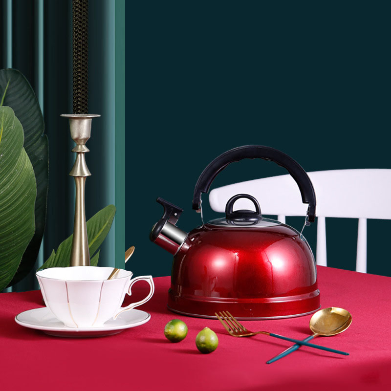 Чайник стальной 3л с индукционным дном