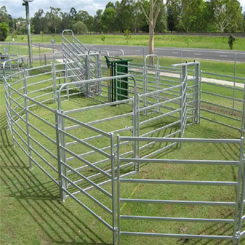 Galvanized 6rails Sheep/Goat /Cattle/Cow/Horse Panels/ Paddock Fence/Farm Gates