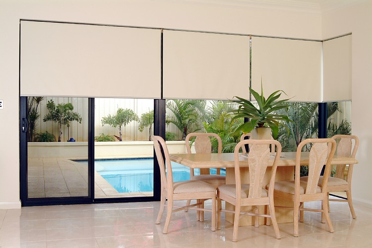 Top Quality Double Driver Ceiling Blind (DTS)