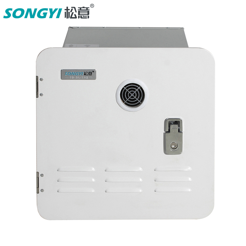 Caravans Portable RV LPG Gas Water Heater 2.2gpm 55000BTU for Camping with Remote Control