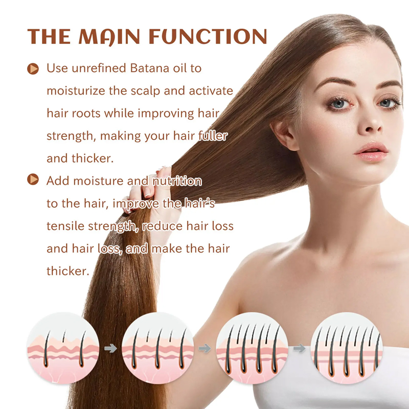 Ditong Natural Organic Moisturizing Repair Root Soft Strong Fluffy Batana Oil for Hair Growth
