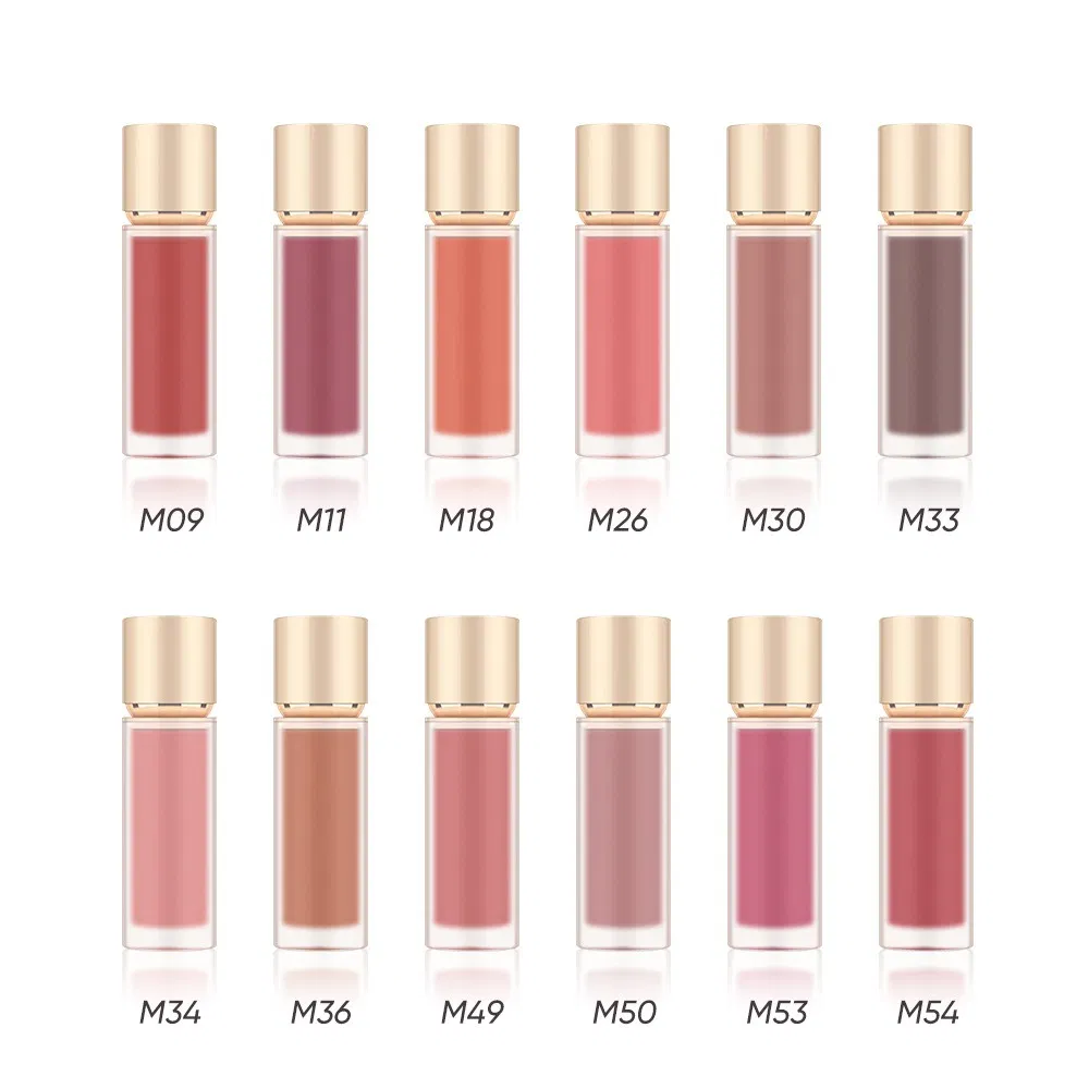 Vegan Waterproof Long Lasting Lip Stick Custom Lip Gloss Matte Liquid Lipstick