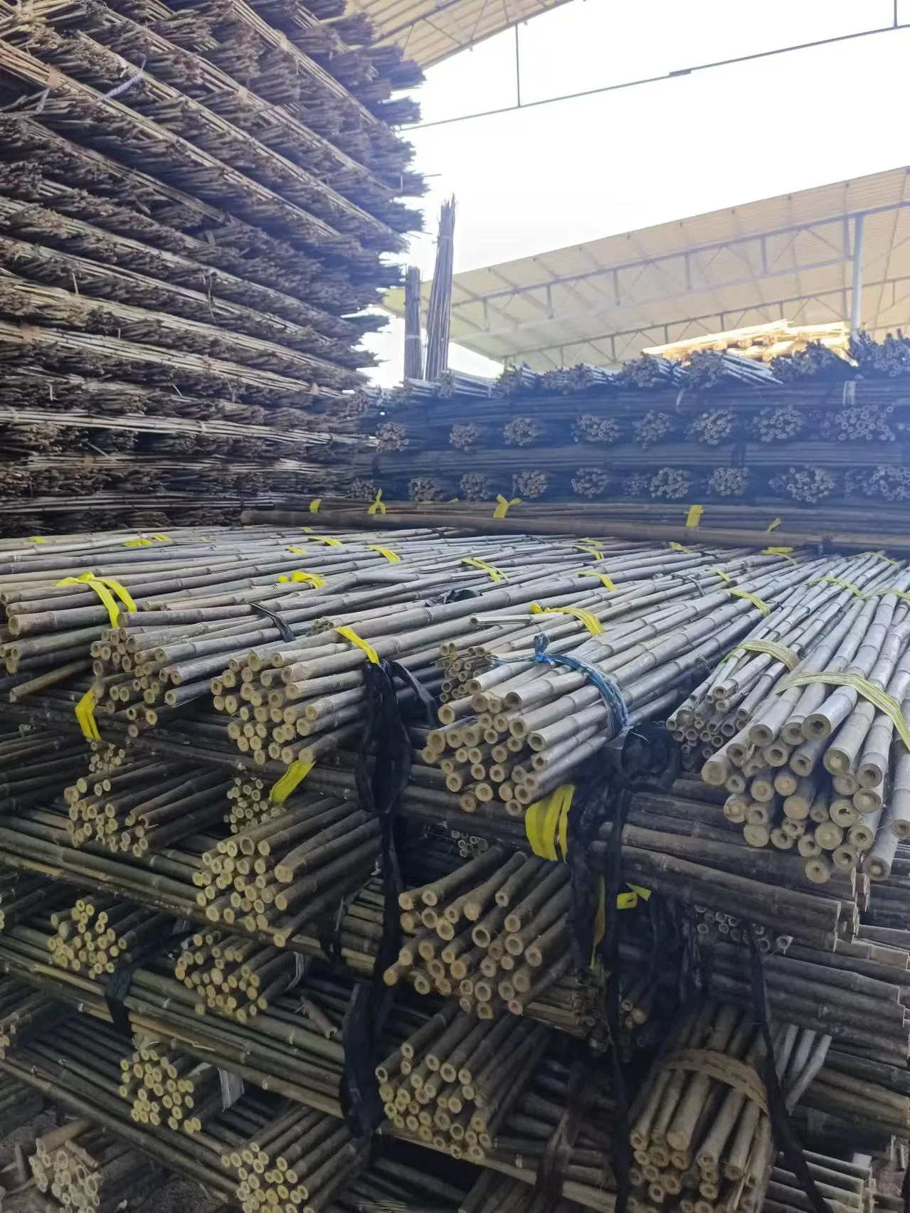 Factory Hot Sale Natural Bamboo Raw Materials Bamboo Pole Stakes for Horticulture Plantation Support