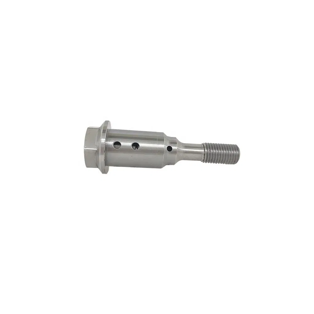 Oil Control Center Screw for Fiat, Jeep