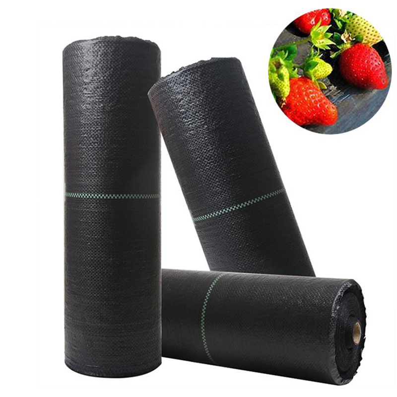 100GSM Anti Grass Control Mesh Weed Prevent Weed Prevent Cloth Weed Barrier Matarrier Mat