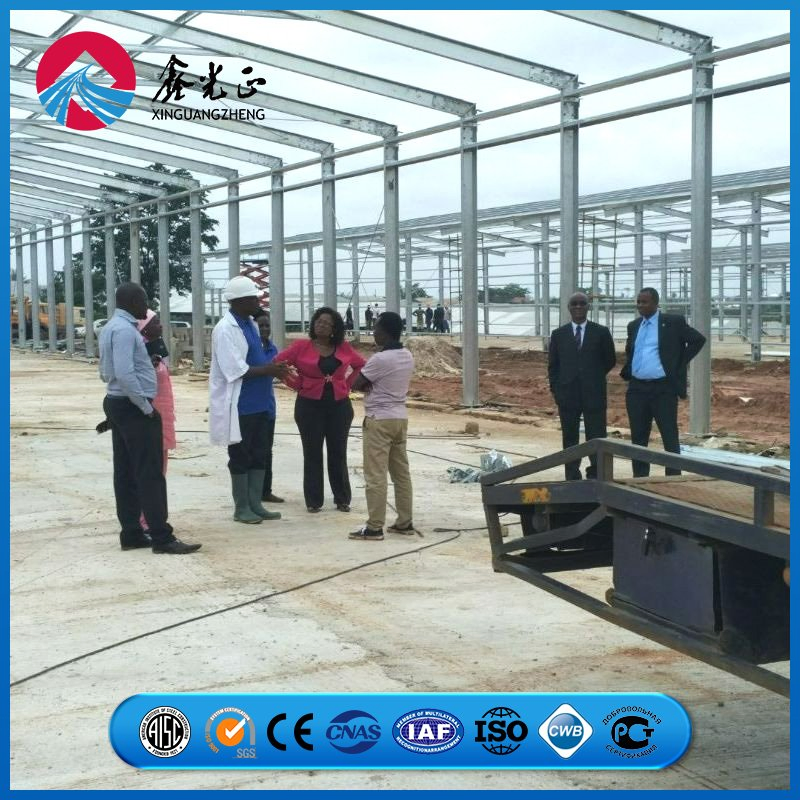 Steel Column Flange Joint Frame Chicken Prefab Metal Farming Equipment Steel Structure Sheep/Goat/Pig/Hog/Cattle/Cow/Poultry House/Shed