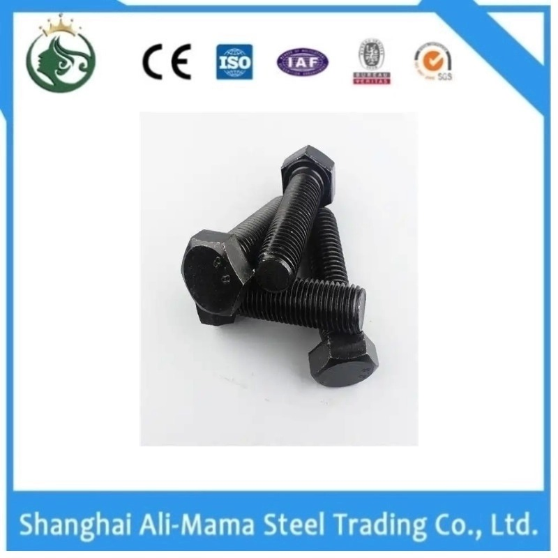 High Strength Bolt Stainless Steel Nut Grade 4.8/8.8/10.9/12.9