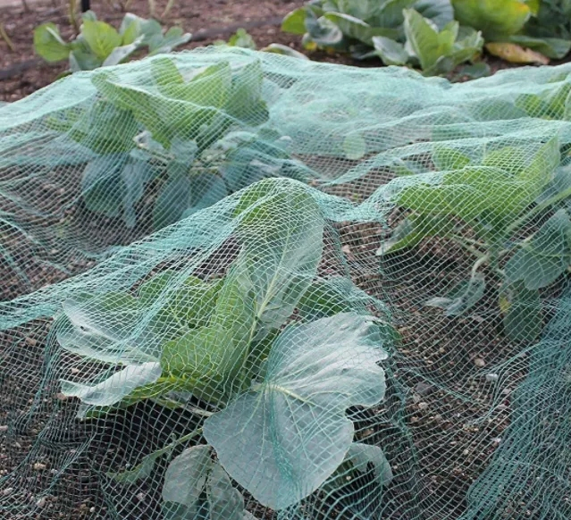 Manufacture Customized Sun-Shade Plastic Shade Net Nets with ISO