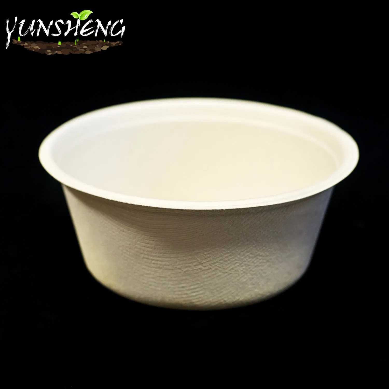 Environmentally Friendly Containers Biodegradable Fast Food Packaging