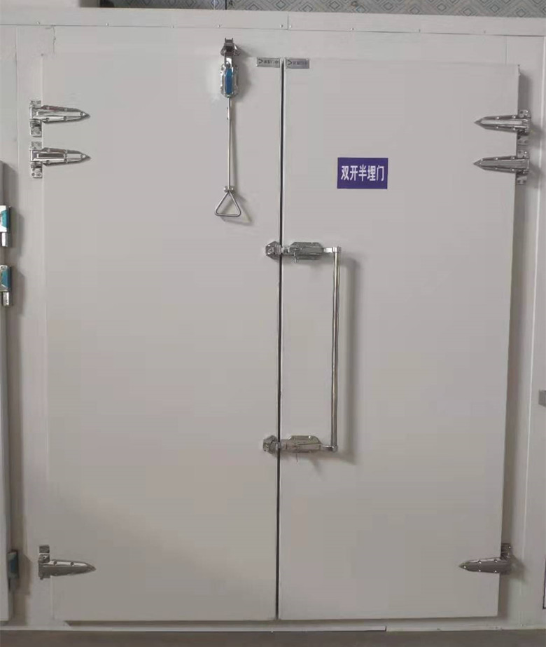 Industrial Thermal Insulated Steel PU Foam Sandwich Panel Pedestrian Hinged Cold Room Swinging Door for Refrigeration Warehouse or Cold Stores