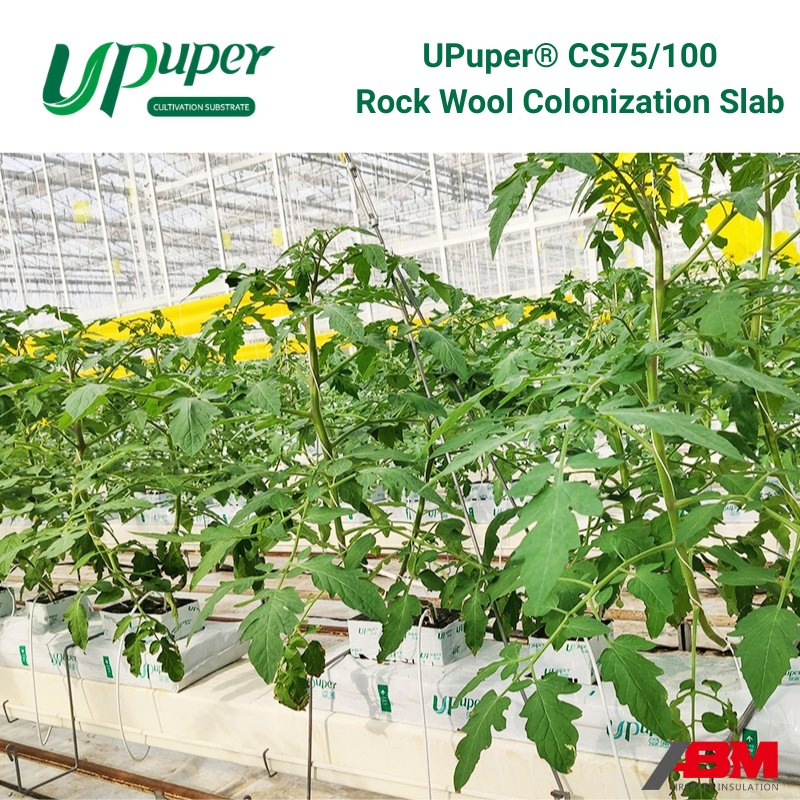 Upuper® CS Series Colonization Slab Commercial Greenhouses Cultivation Strip Agricultural Rock Wool Rectangle Grow Slabs