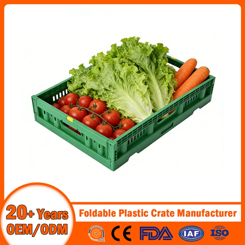 China Plastic Crate Manufacturer PP Foldable Nestable Plastic Lobster Crate Bale Arm Logistic/Brad/Egg/Bear Crate Food Grade Vegetable/Fruit Plastic Crate