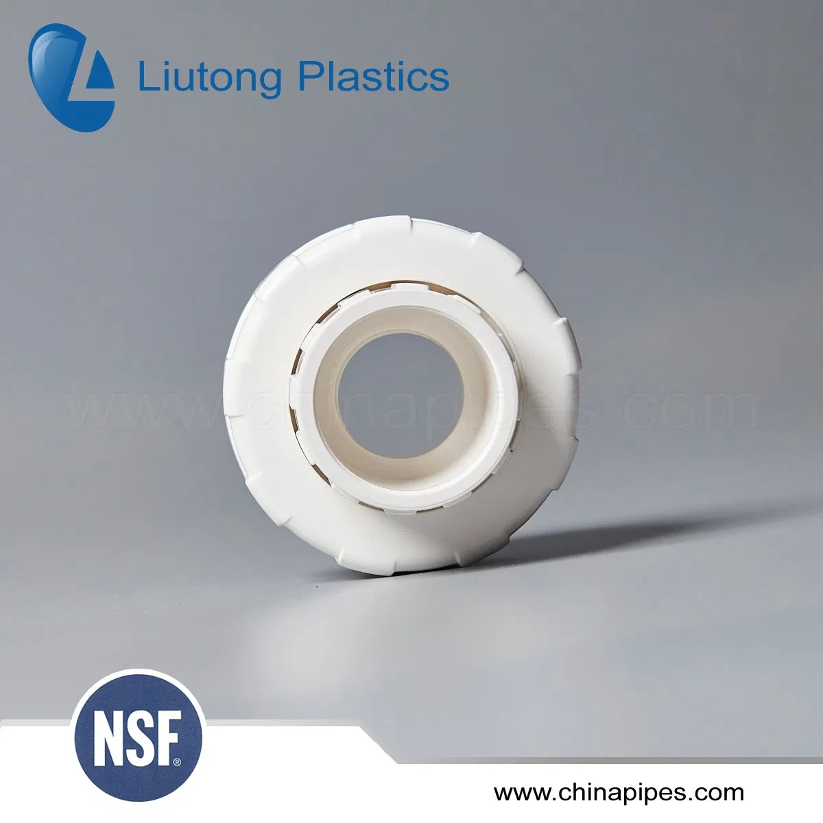 Bs Standard Female Union PVC Pipe Fittings