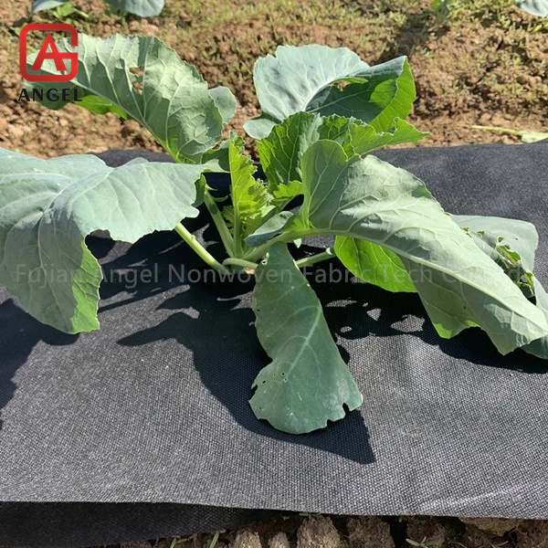 Heavy Duty Lined Weed Control Fabric Landscaping Ground Cover Garden Weed Barrier Gardening Mat