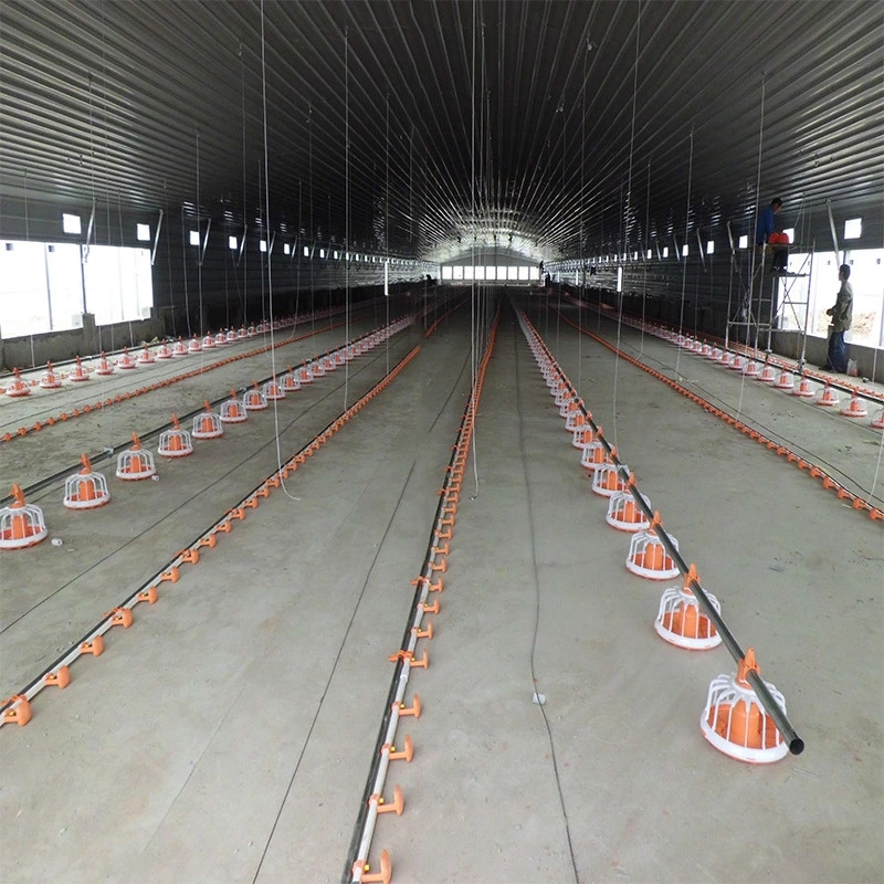 Construction Material Classic Metal Frame Prefabricated Steel Structure Chicken House