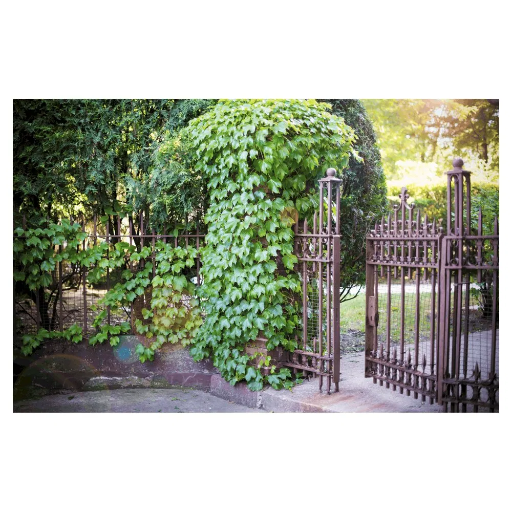 Orient Outdoor Wrought Iron Railing Staircase Villa Stair Railing Iron Stair Railing