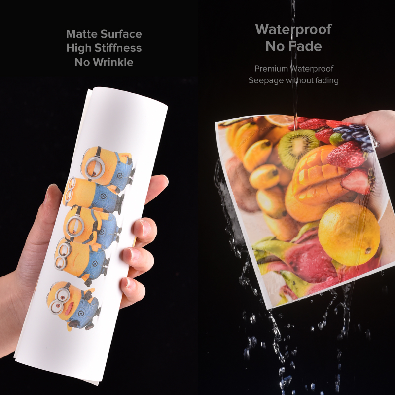 Shanghai Opaque Rightint Carton A4, OEM Gloss CT Self Adhesive Sticker