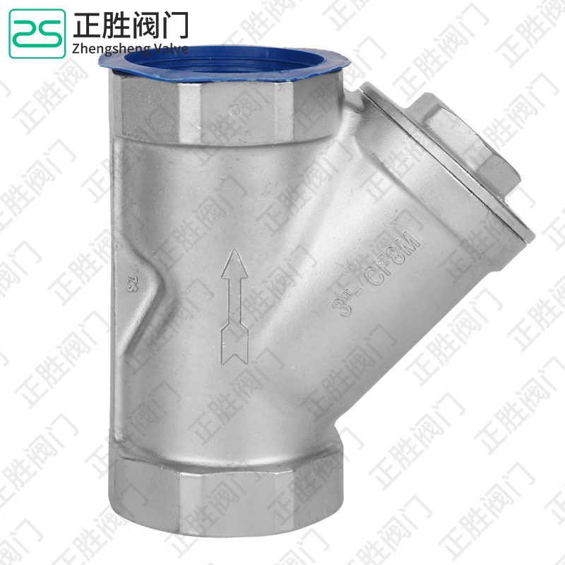 Premium SS304 Y Strainer for Advanced Liquid Filtration Solutions