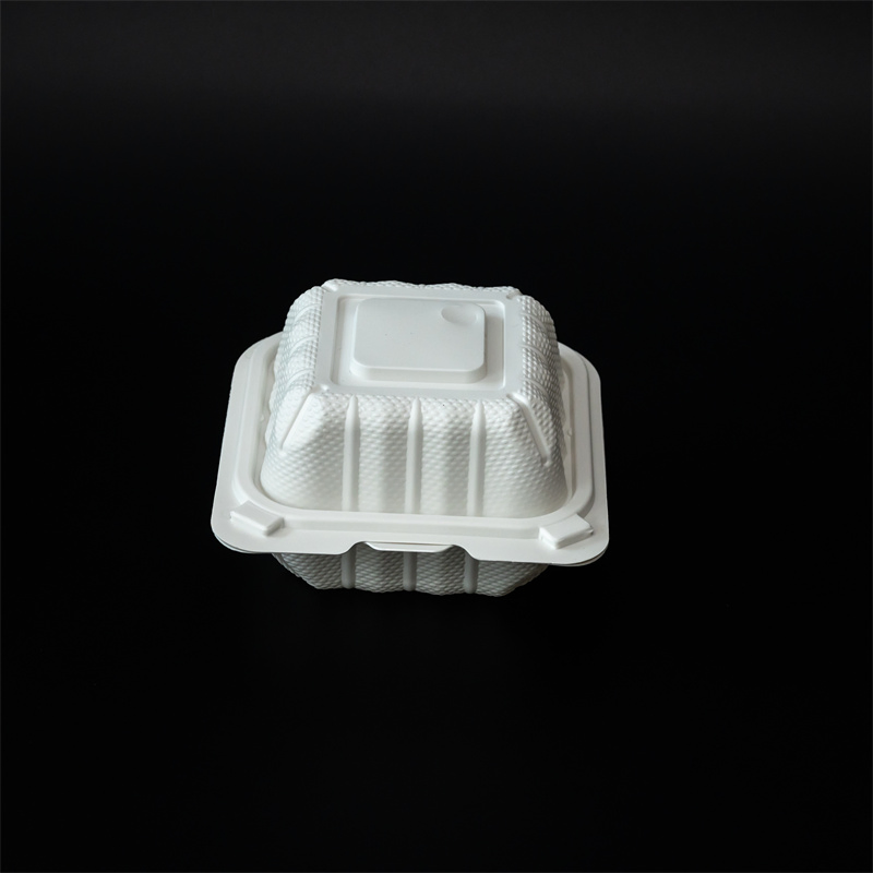 Takeout PP Clamshell Food Container Packaging with Lid