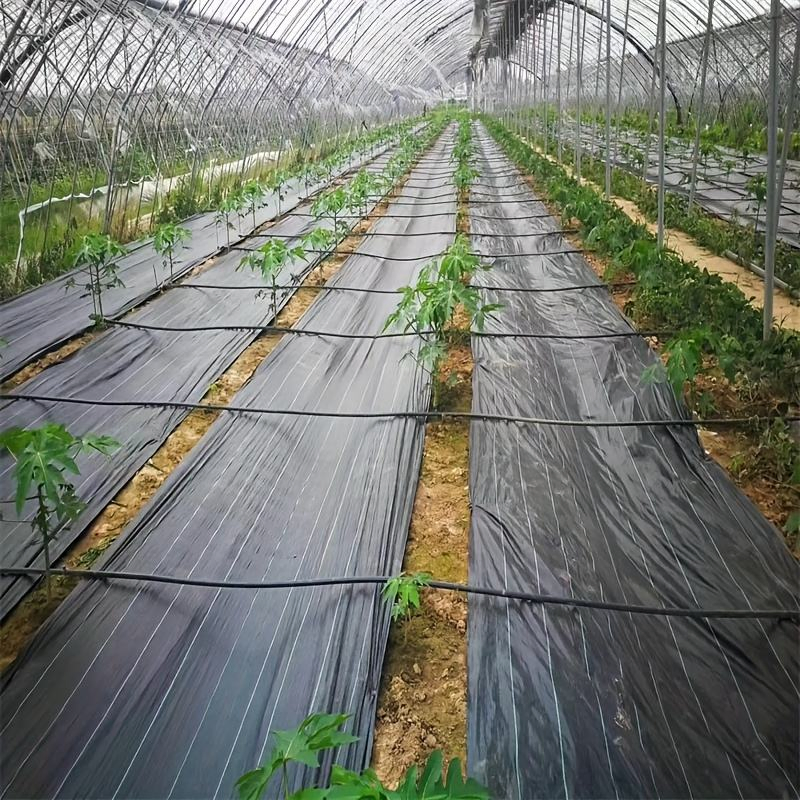 Durable Customized UV Black PP Woven Geo Textile Weed Mat