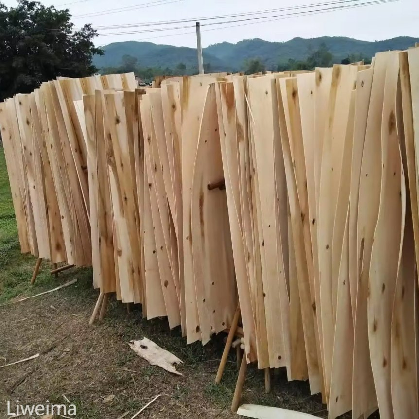 Hot Sale Natural White Birch Veneer Lwm-BV-02