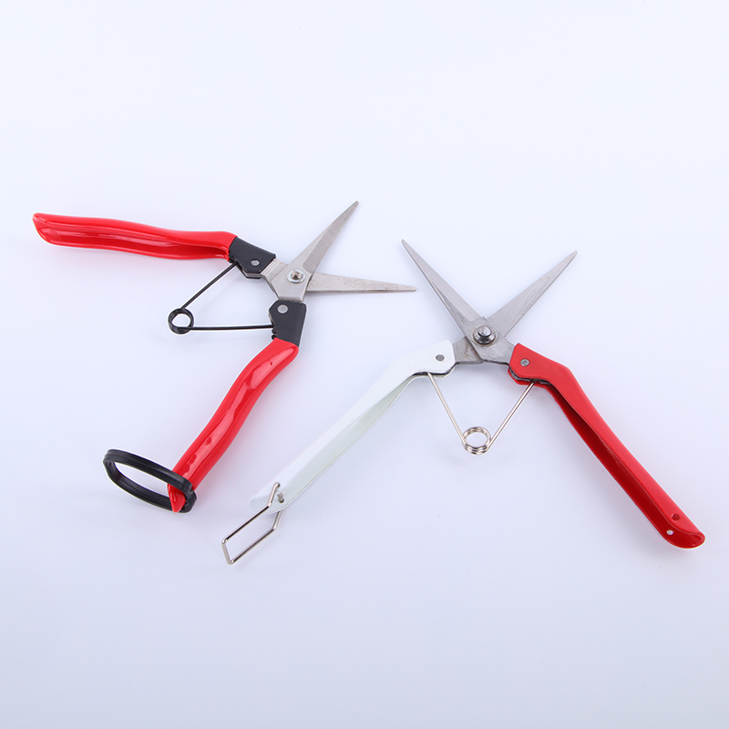 Zhejiang/China Bypass Pruning Shear with Safety Lock