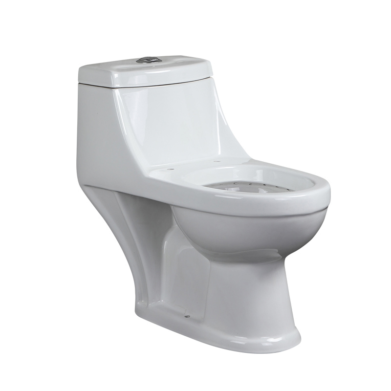 Sanitary Ware One Piece Washdown Wc Water Closet Toilet with Toilet Set