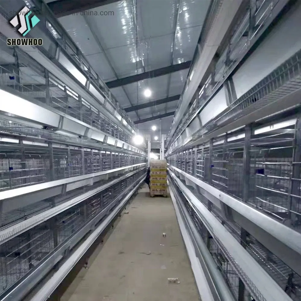 Automated Steel Structure Prefabricated Poultry Farm Design Commercial Layer Close Chicken House