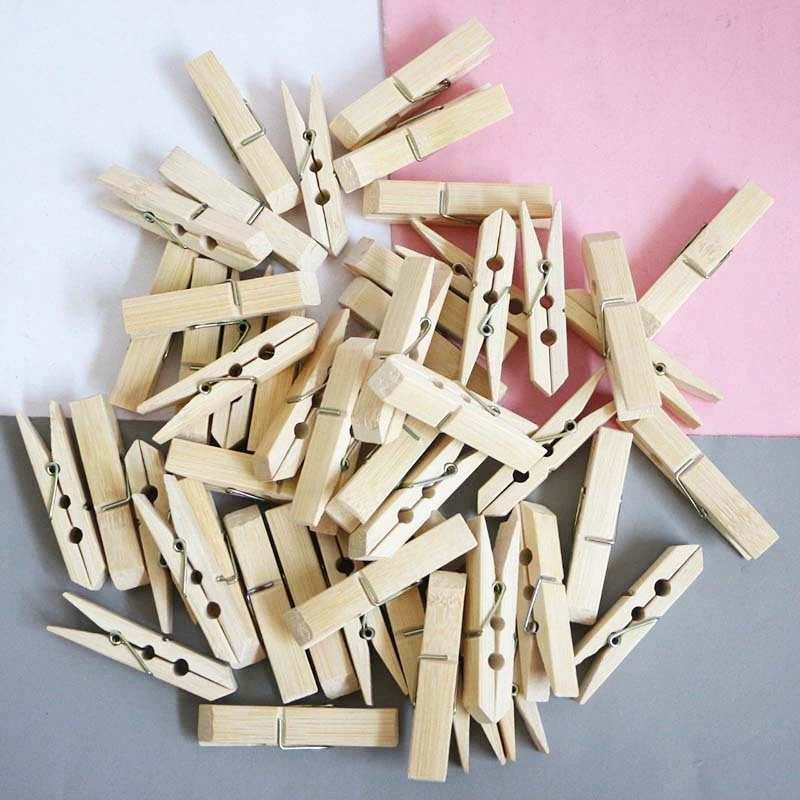 20PCS Modern Minimalist Large Greenhouse Vineyard Clip Outdoor Drying Clip