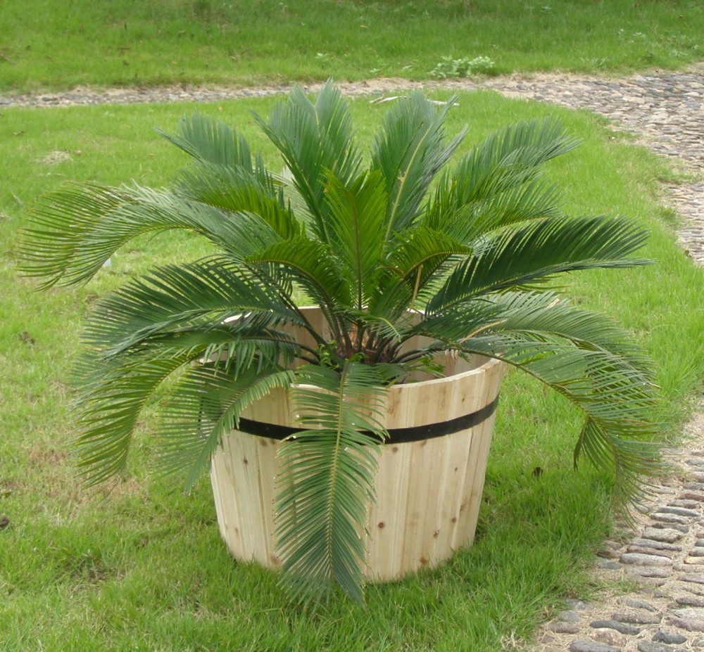 Горшки цветочные декоративные комнатные садовые