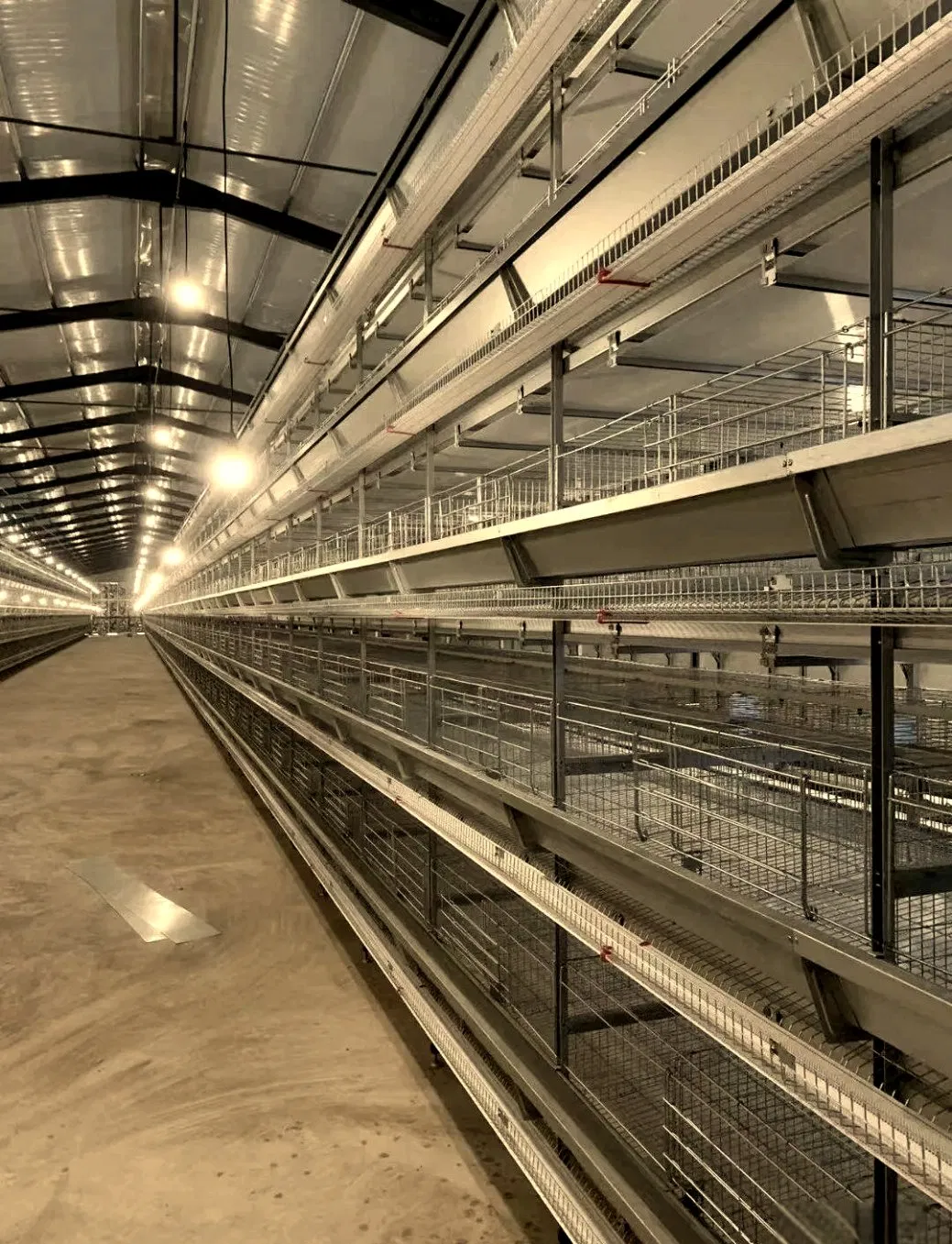 Engineered Steel Structure Frame 3s/4s Car Showroom (XGZ-Z114)