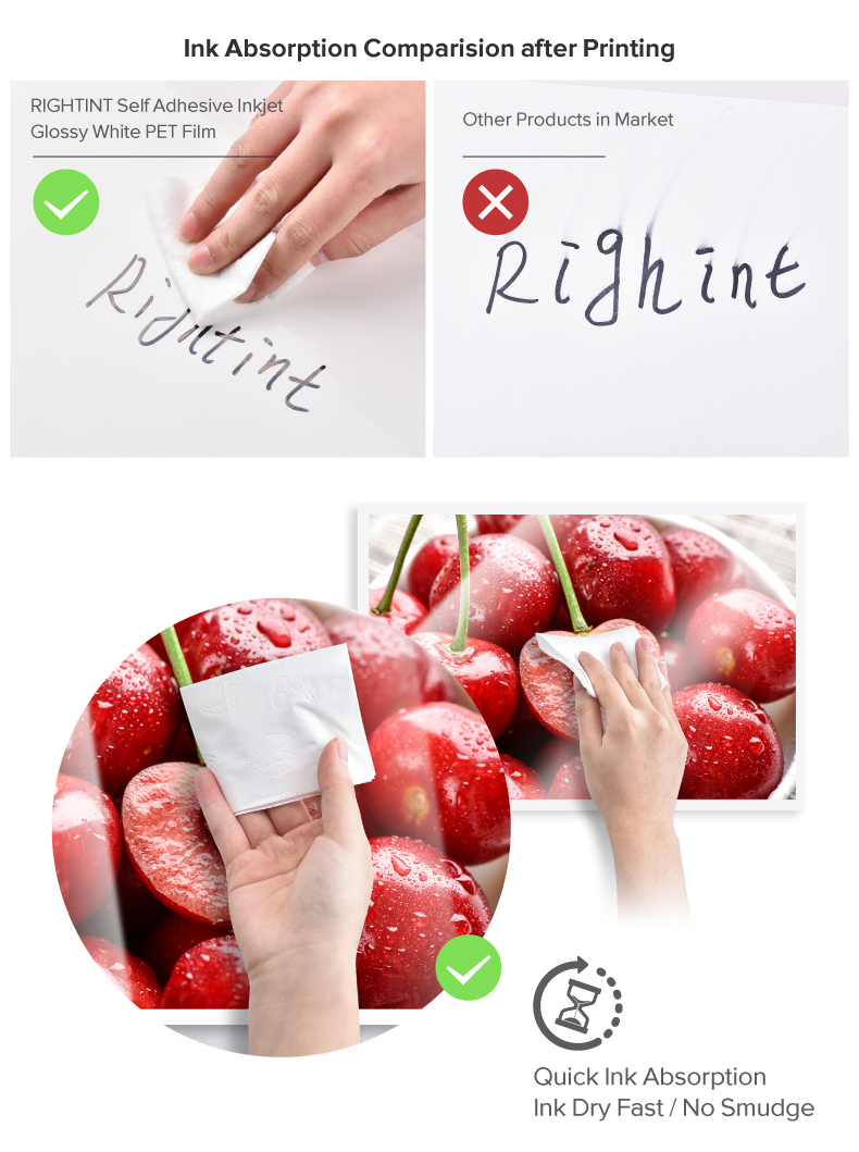 Food Label Opaque Rightint Carton Pet Vinyl Self Adhesive Paper