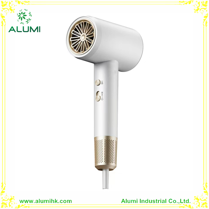 Salon Blower Dryer Professional Strong Wind Super Ionic Hair Dryer 2000W