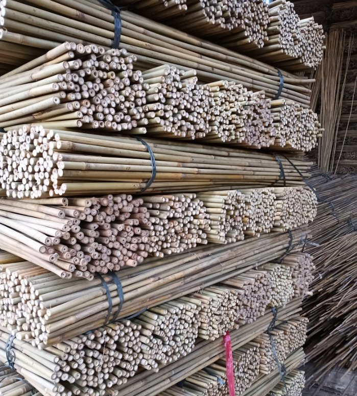 Factory Tonkin Bamboo Cane Garden Stake Moso Natural Artificial Raw Bamboo Poles