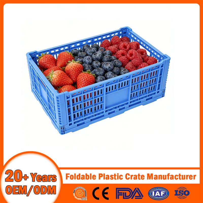 China Foldable Plastic Crate Manufacturer Nestable Mesh Tote Crate for Moving/Turnover/EU/Lobster/Bread/Bale/Egg/Mike Logistaic/Supermarket/Vegetable/Fruit