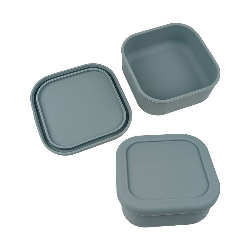 Silione Bentobox Lunchbox Food Container